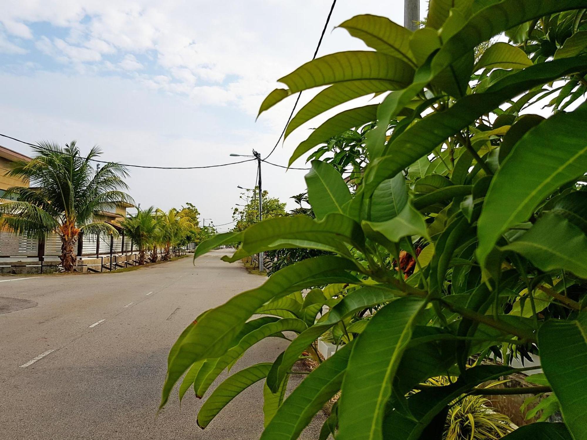 Siantan In Paya Rumput Near Std Hang Jebat, Sg Udang & Uitm Lendu Malacca Екстер'єр фото